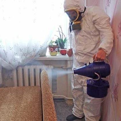Комплексная дезинсекция